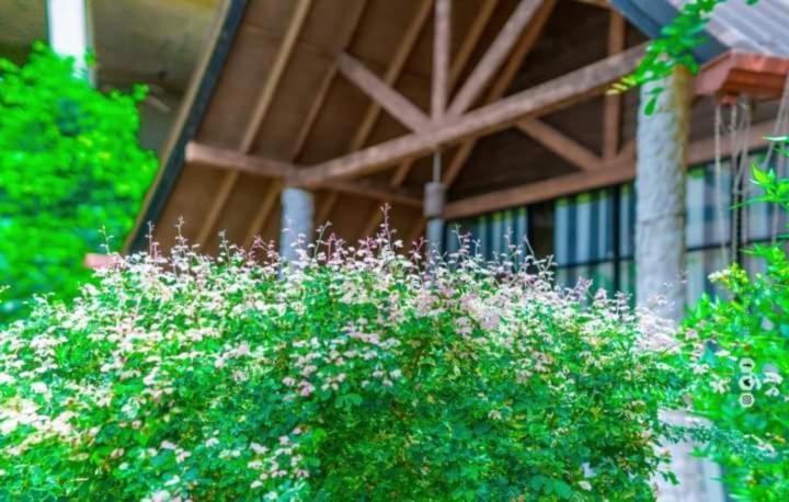 Passi Nature Villas Passikudah Kalkudah  Eksteriør bilde