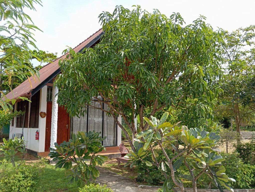 Passi Nature Villas Passikudah Kalkudah  Eksteriør bilde